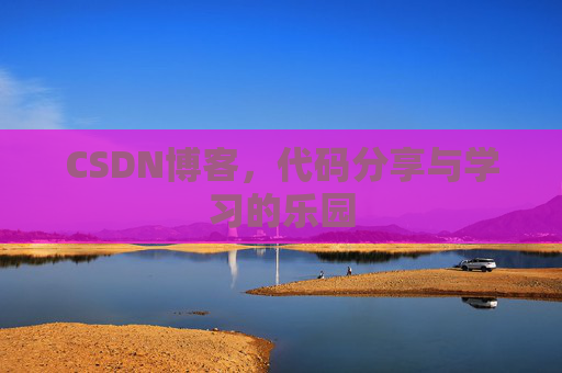 CSDN博客，代码分享与学习的乐园